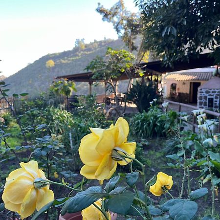 Finca Los Arcos Del Laurel 摩亚 外观 照片