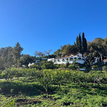 Finca Los Arcos Del Laurel 摩亚 外观 照片