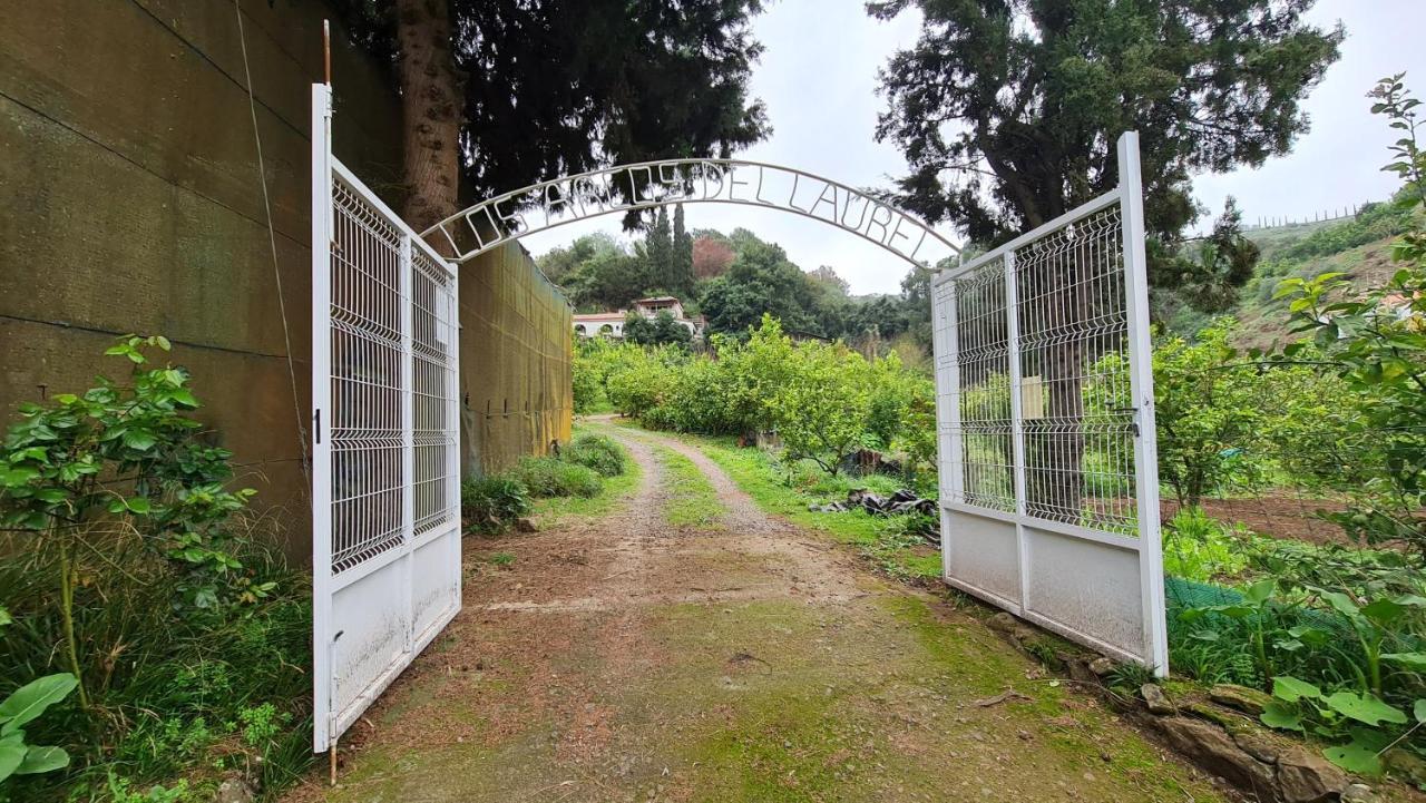 Finca Los Arcos Del Laurel 摩亚 外观 照片