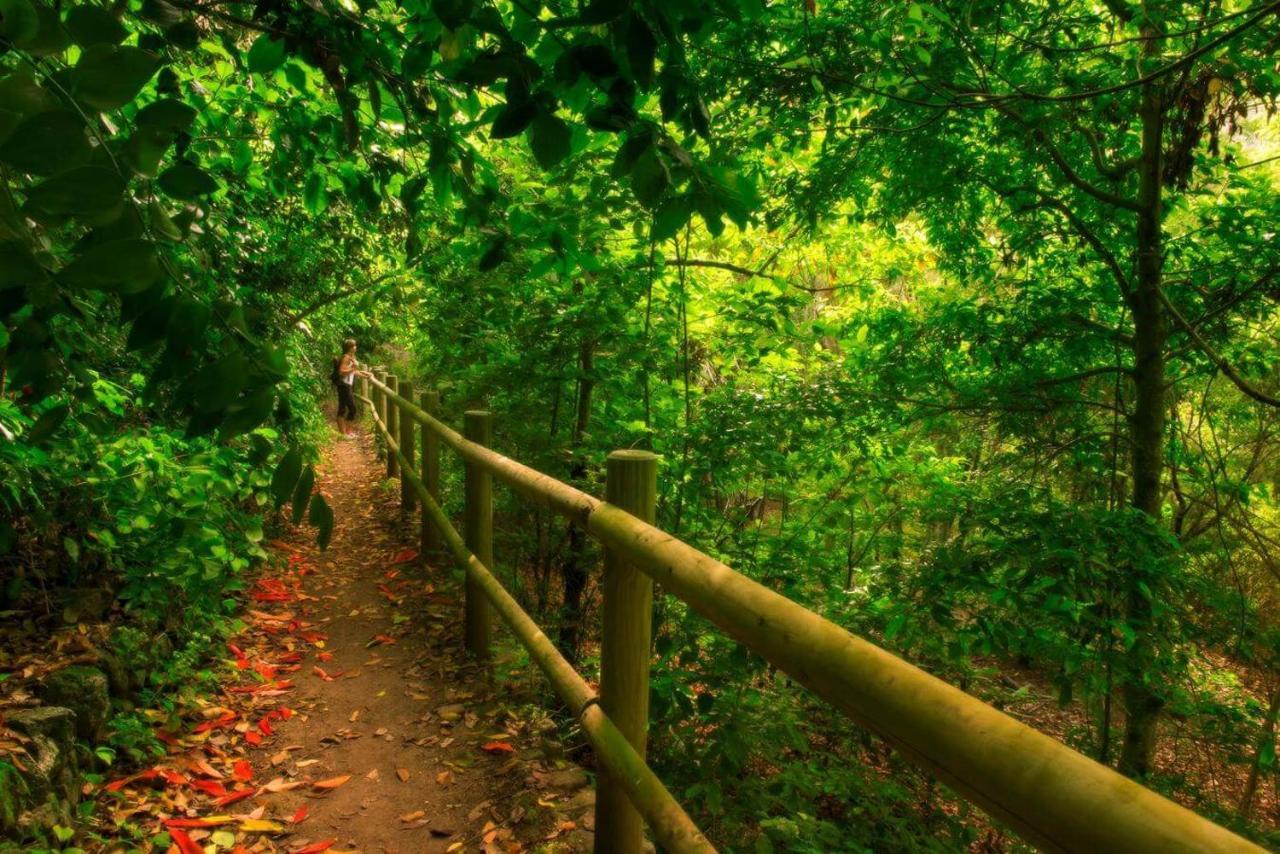 Finca Los Arcos Del Laurel 摩亚 外观 照片