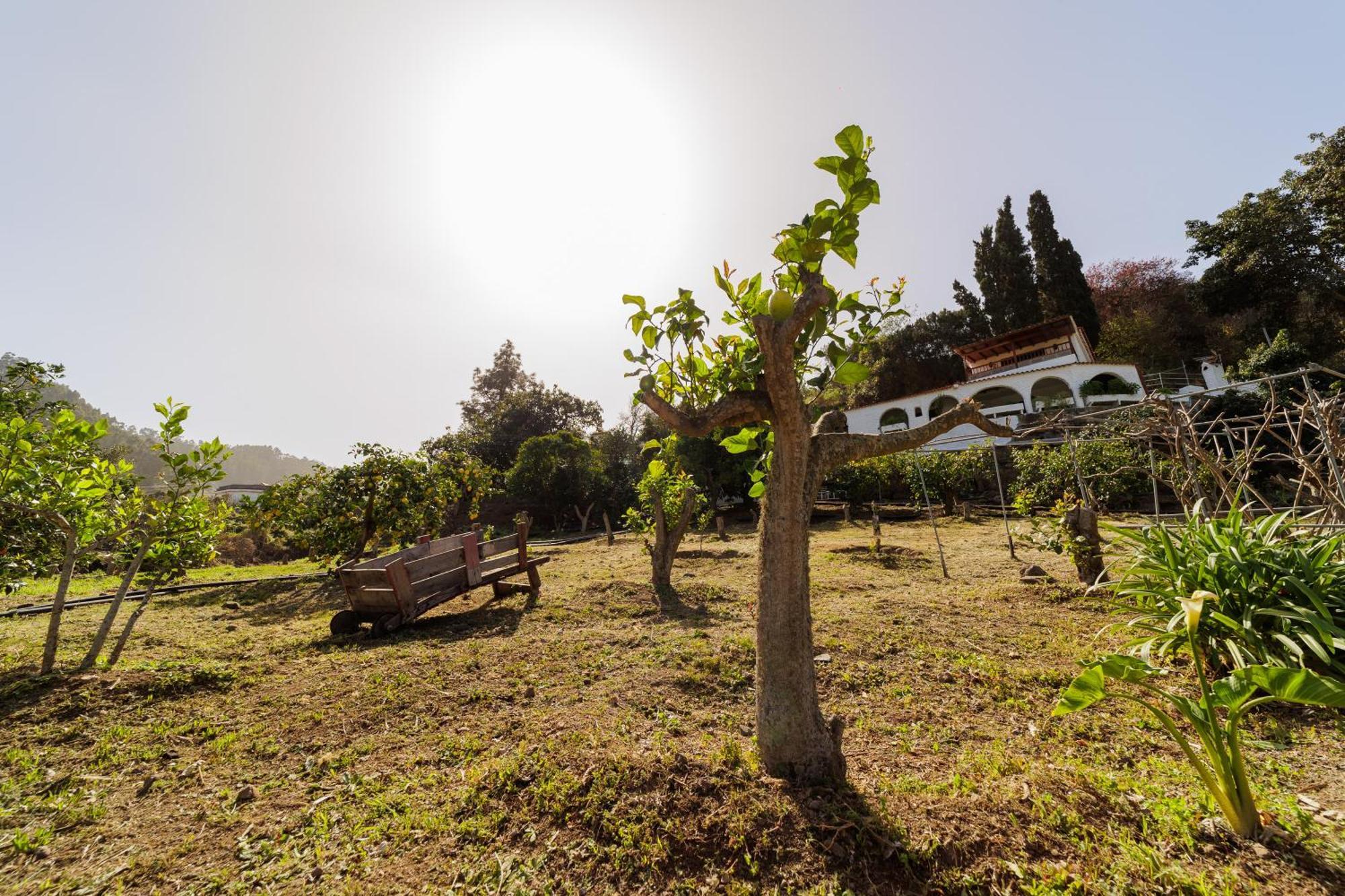 Finca Los Arcos Del Laurel 摩亚 外观 照片