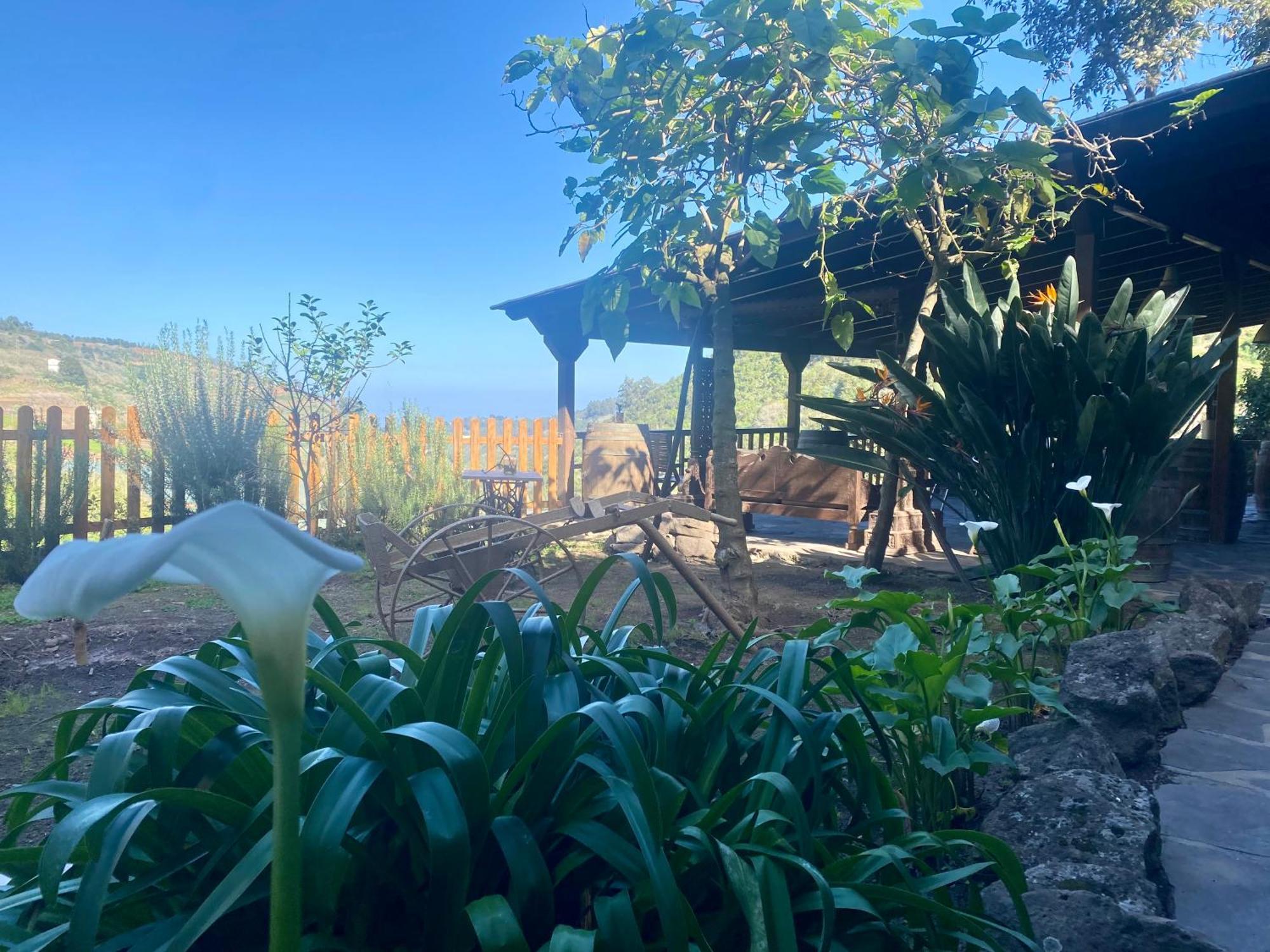 Finca Los Arcos Del Laurel 摩亚 外观 照片