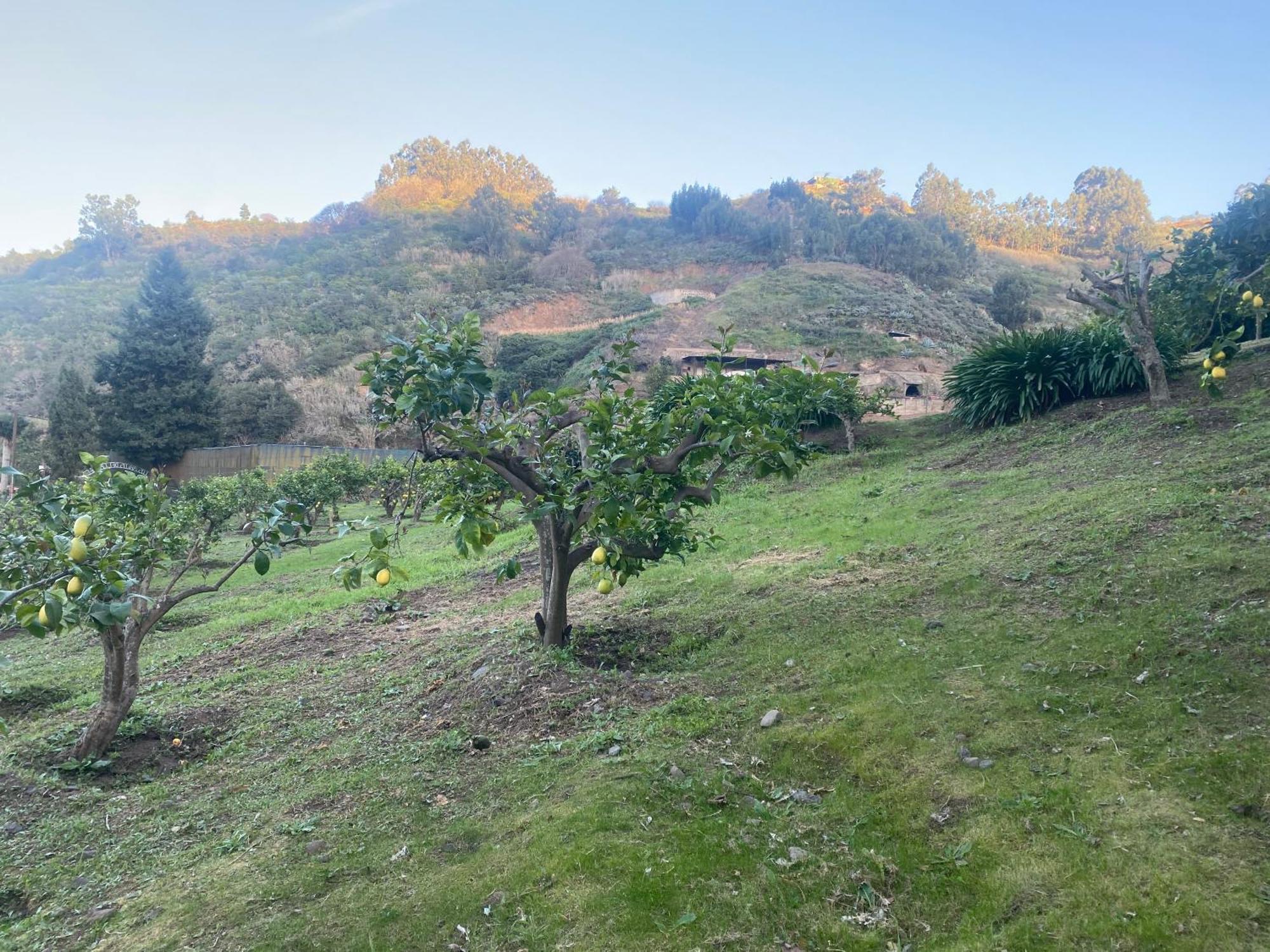 Finca Los Arcos Del Laurel 摩亚 外观 照片