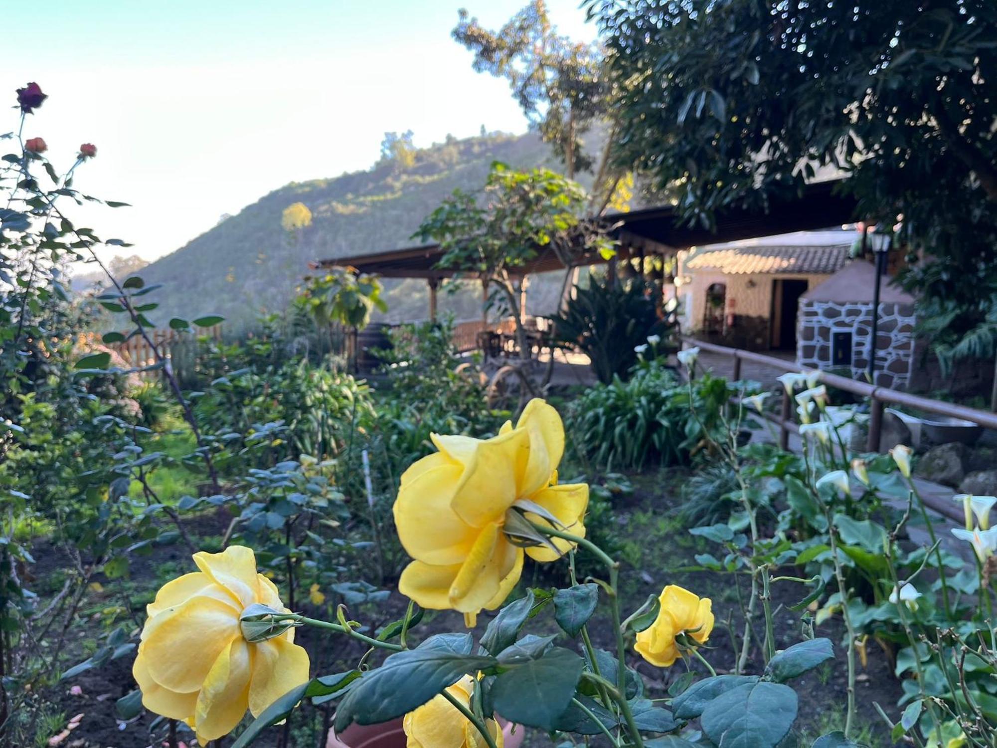 Finca Los Arcos Del Laurel 摩亚 外观 照片