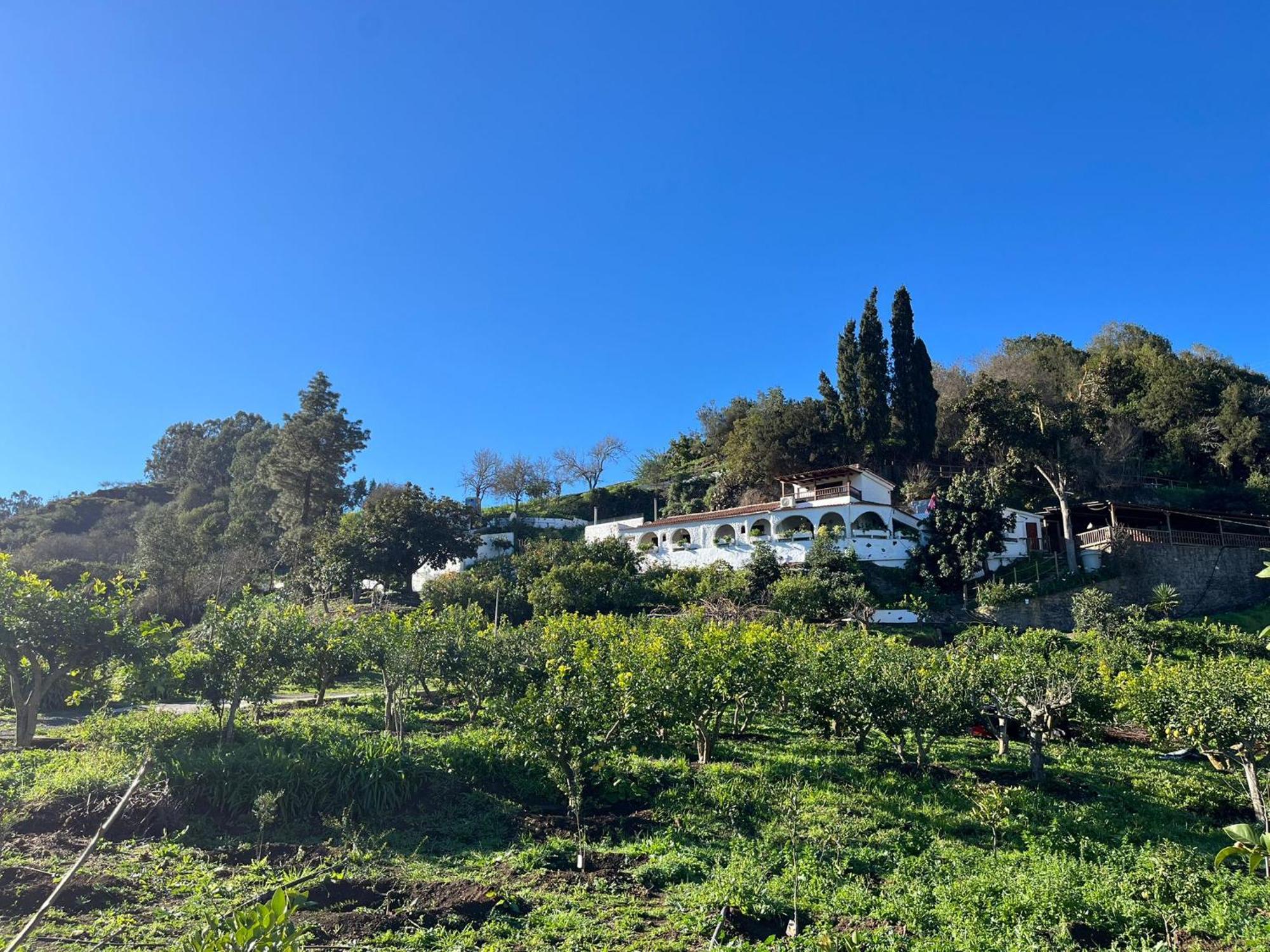 Finca Los Arcos Del Laurel 摩亚 外观 照片