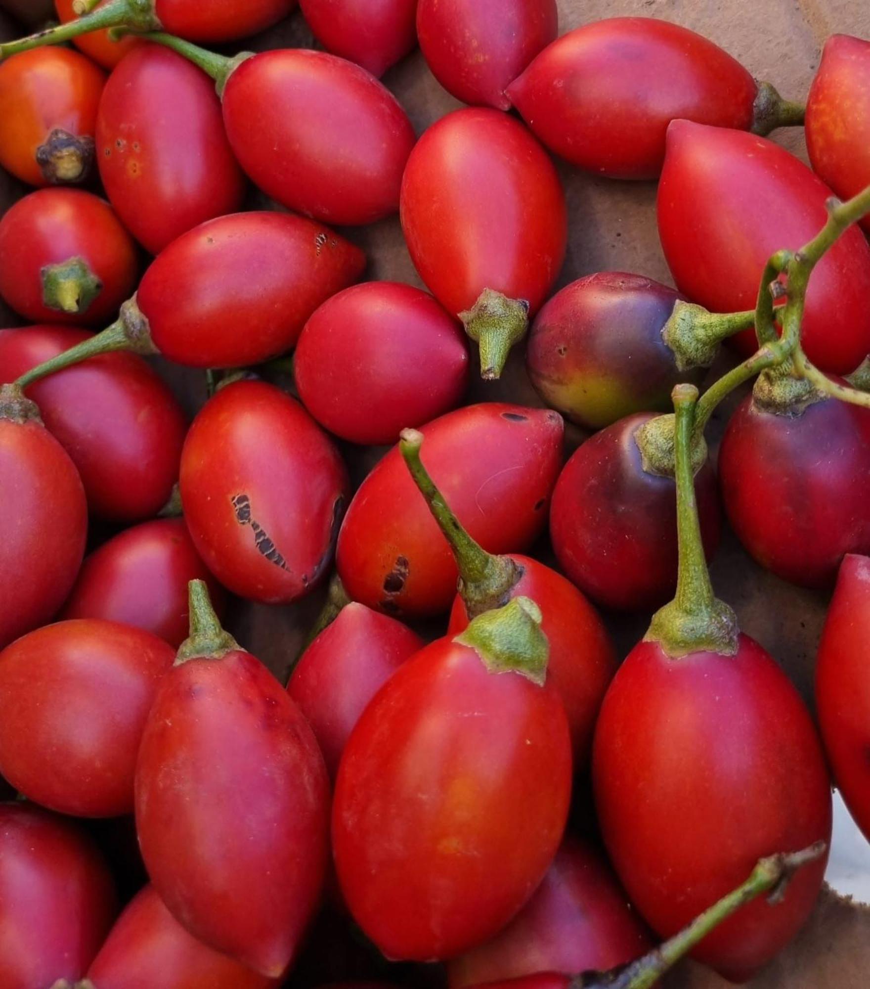 Finca Los Arcos Del Laurel 摩亚 外观 照片