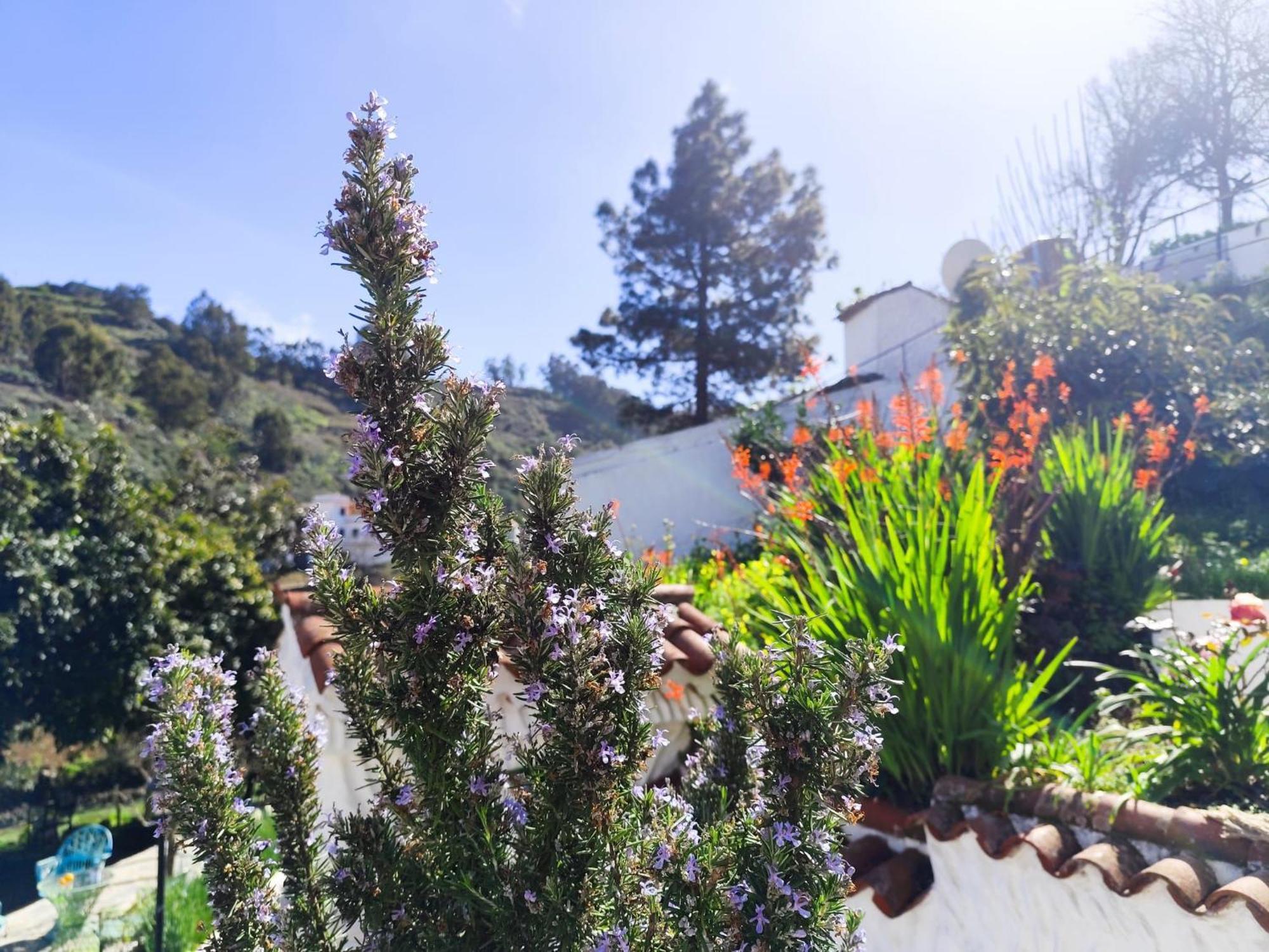 Finca Los Arcos Del Laurel 摩亚 外观 照片