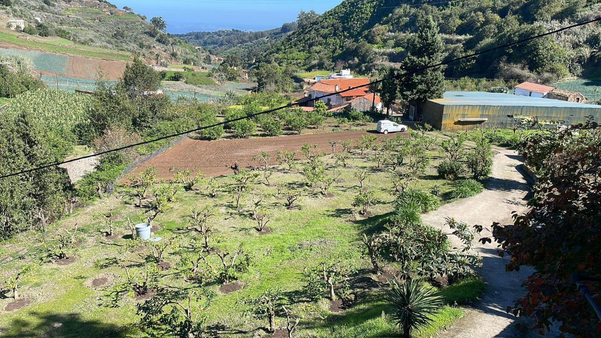 Finca Los Arcos Del Laurel 摩亚 外观 照片