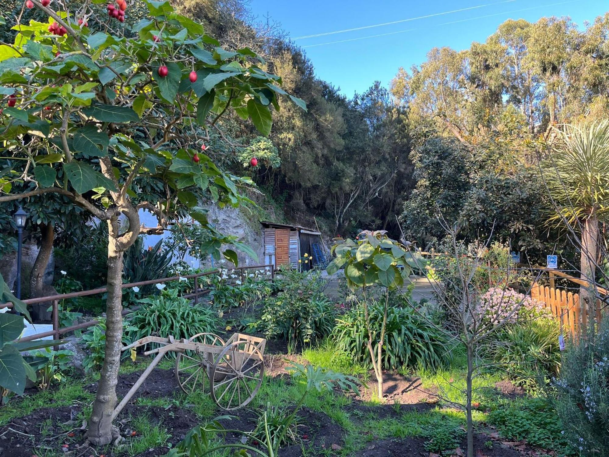Finca Los Arcos Del Laurel 摩亚 外观 照片