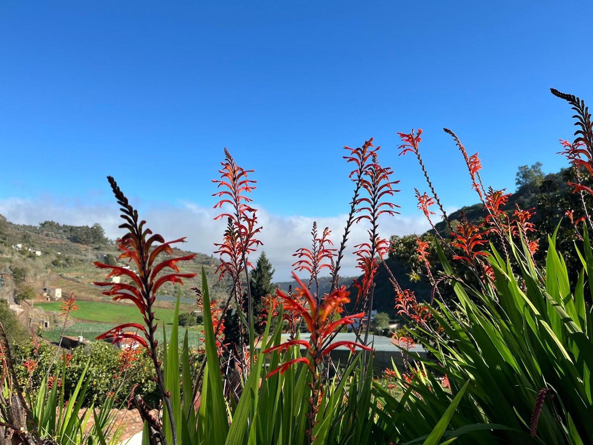 Finca Los Arcos Del Laurel 摩亚 外观 照片