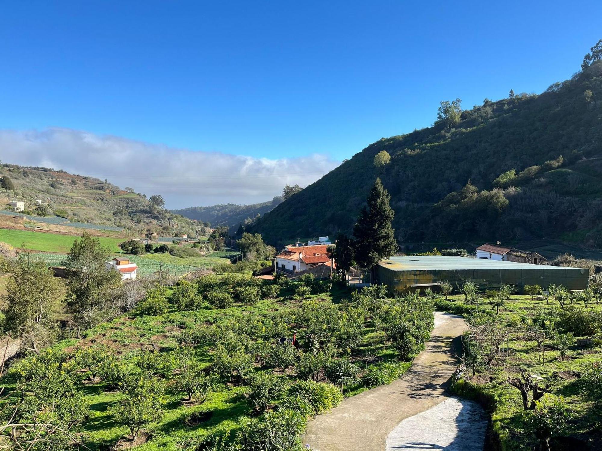 Finca Los Arcos Del Laurel 摩亚 外观 照片