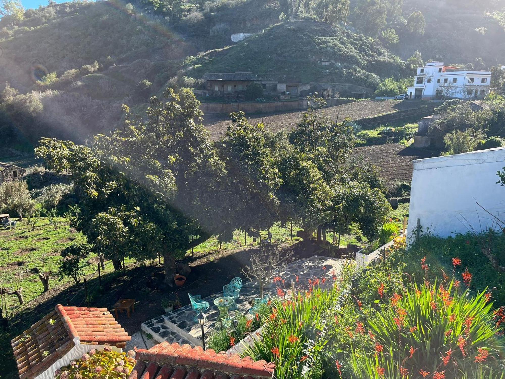 Finca Los Arcos Del Laurel 摩亚 外观 照片