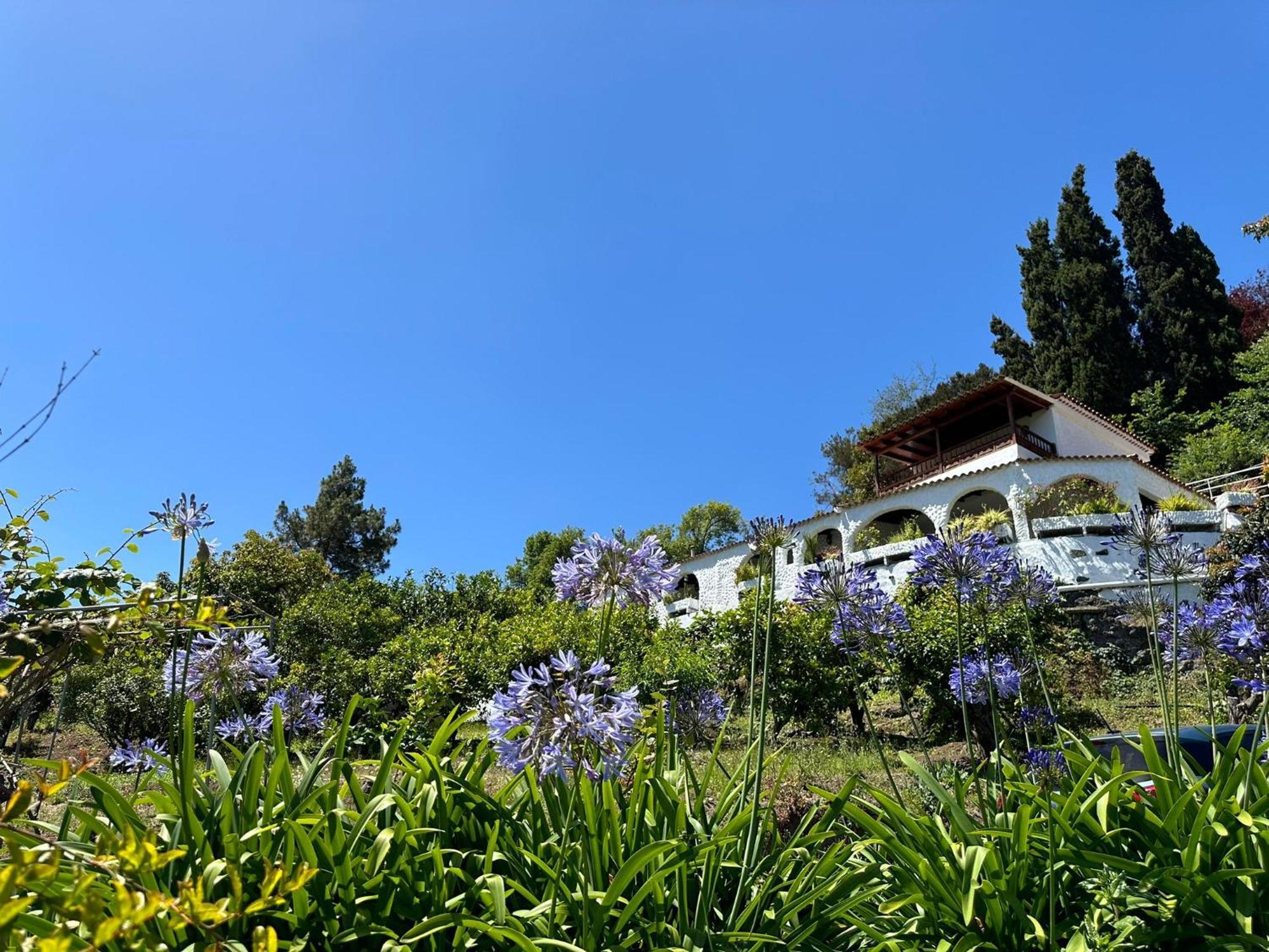 Finca Los Arcos Del Laurel 摩亚 外观 照片